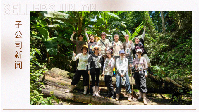 探雨林秘境，與森林同呼吸——記優(yōu)景公司年中西雙版納團建旅游